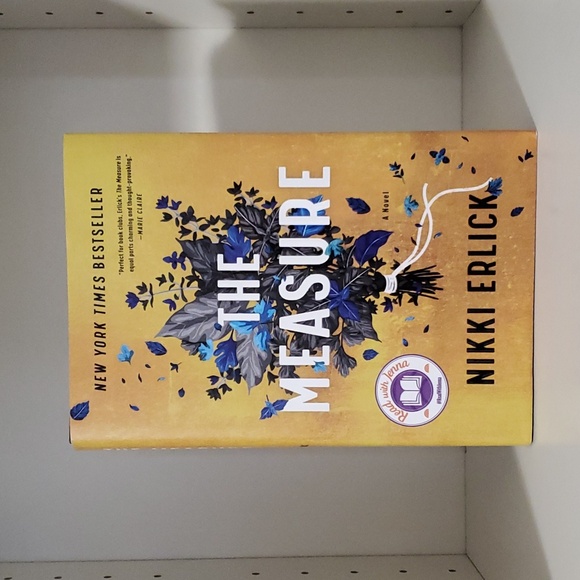 The Measure by Nikki Erlick hardcover book - Picture 1 of 5